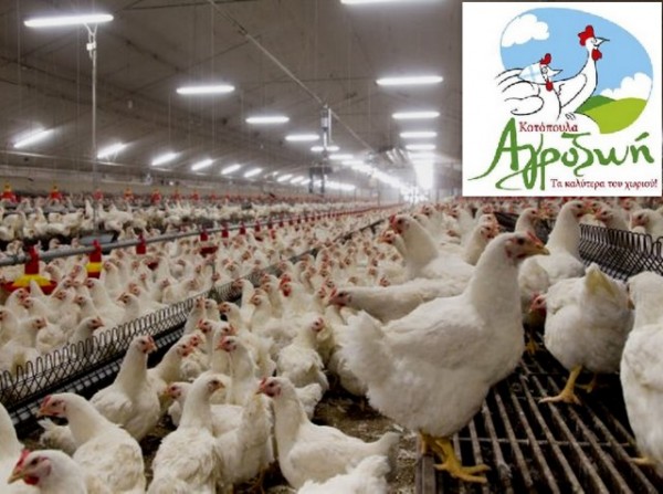 ΑΓΡΟΖΩΗ: Συνεργαζόμαστε με τις Αρχές για να βρεθούν τα αίτια και οι συνθήκες θανάτου του 45χρονου εργαζόμενου