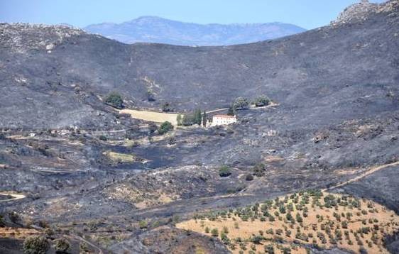 Βαθιά τραύματα άφησε η φωτιά στο Αυλωνάρι (φωτό)