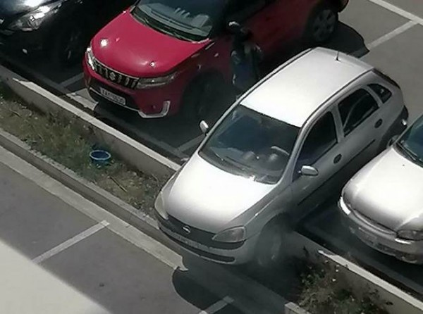 ΧΑΛΚΙΔΑ: Απίστευτο σκηνικό με αυτοκίνητο στο Νοσοκομείο - Καβάλησε το κράσπεδο στο πάρκινγκ