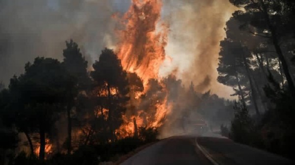 ΦΩΤΙΑ ΕΥΒΟΙΑ: Μόνο θλίψη και θυμός από τους χρήστες στα κοινωνικά δίκτυα (pics+upd)