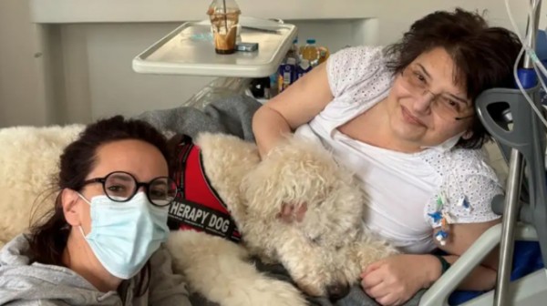 Ο γλυκός Βαγγέλης είναι ο πρώτος σκύλος θεραπείας που μπήκε στα νοσοκομεία του ΕΣΥ