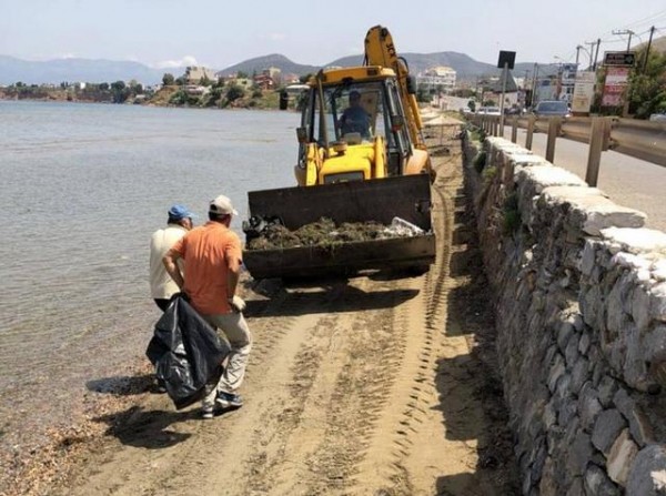 ΟΛΝΕ: Εκστρατεία καθαριότητας στις παραλίες της Χαλκίδας