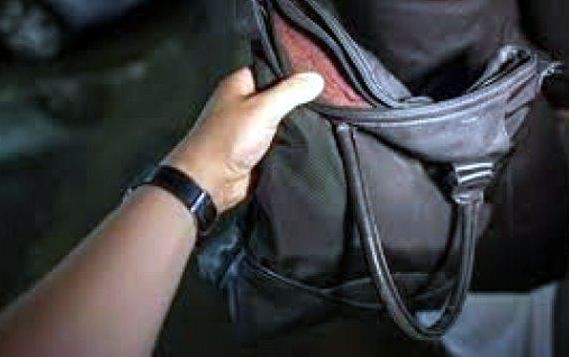 ΧΑΛΚΙΔΑ: Την έκλεψαν μπροστά στα μάτια της
