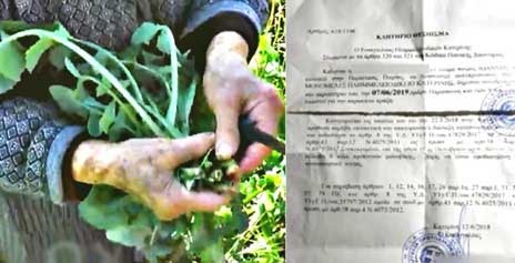 Πάνε στα δικαστήρια 82χρονη γυναίκα γιατί πουλούσε χόρτα στη λαϊκή χωρίς άδεια