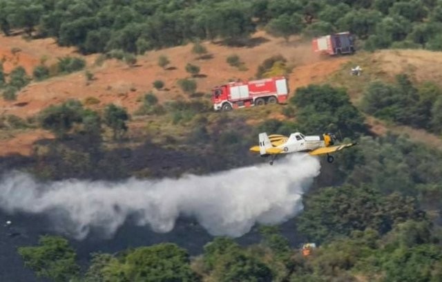 ΑΓΙΟΣ ΕΥΒΟΙΑΣ: Άρπαξε φωτιά το μεσημέρι της Πέμπτης