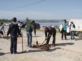 Πράσινo οικόπεδο στην παραλία της Λαμψάκου