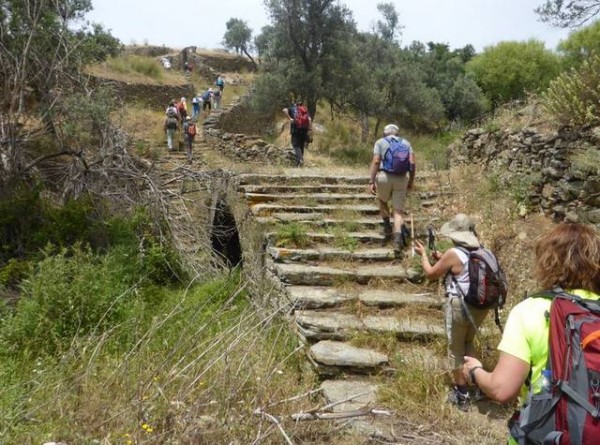 Εξόρμηση Χαλκιδέων στα μονοπάτια της Τήνου