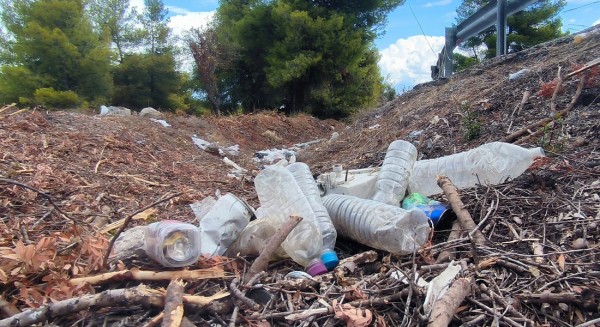 Εθελοντικός καθαρισμός της Ριτσώνας