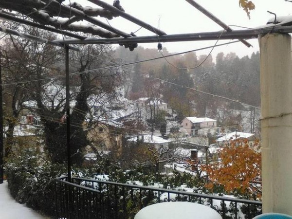 ΚΑΚΟΚΑΙΡΙΑ ΣΤΗΝ ΕΥΒΟΙΑ: Άσπρισε η Κοκκινομηλιά