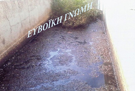 ΒΙΟΚΑ ΑΙΔΗΨΟΥ: Το ...έγκλημα συνεχίζεται