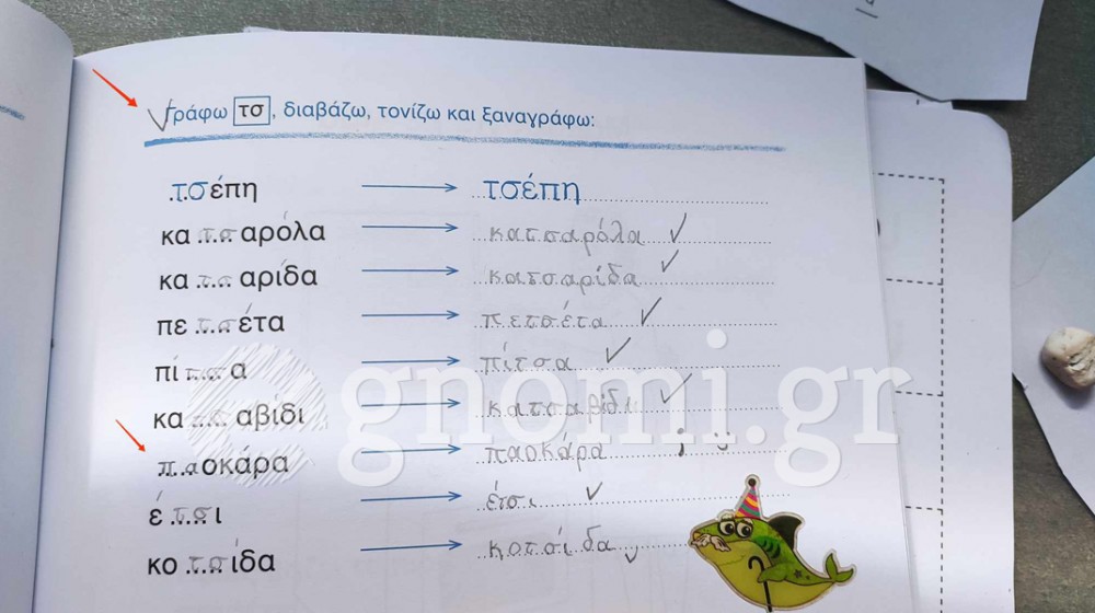 ΧΑΛΚΙΔΑ: Μαθητής της Α' Δημοτικού έγραψε σε άσκηση ΠΑΟΚάρα αντί για ...τσόκαρα