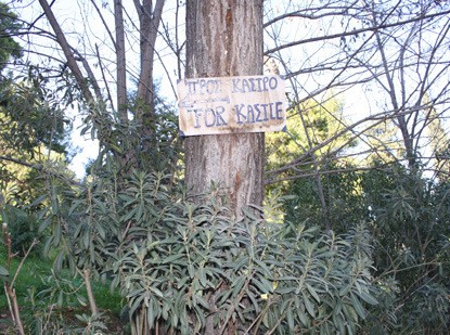 Πότε πήρες το proficiency ρε μεγάλε;