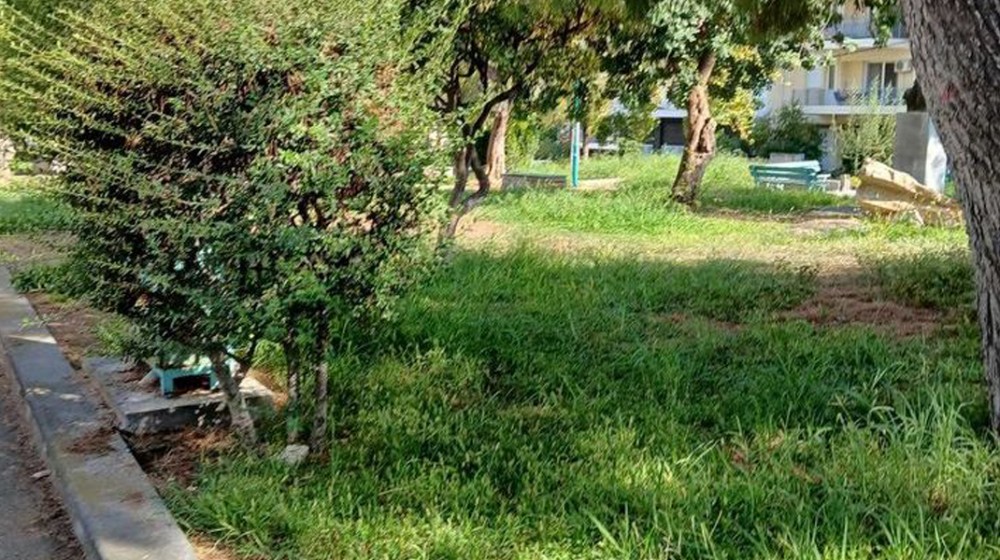 ΧΑΛΚΙΔΑ: Απεριποίητο το παρτέρι στην οδό Αργυροκαστρίτου