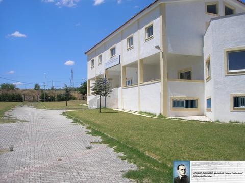 Λήγει σύντομα η προθεσμία για την αίτηση εγγραφής στο Μουσικό Γυμνάσιο Χαλκίδασ