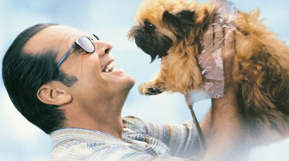 ΤΗΛΕΟΡΑΣΗ: Οι ταινίες της ημέρας (ΠΕΜΠΤΗ 23 ΝΟΕΜΒΡΙΟΥ)