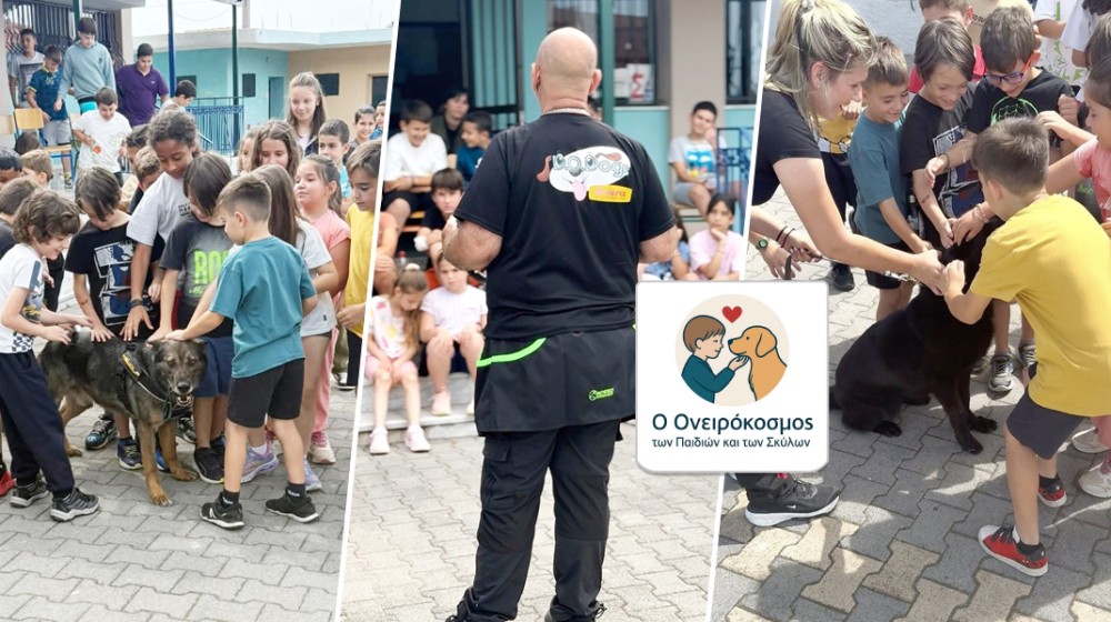 DO DOGS: Πραγματοποιούν δωρεάν δράσεις για σκυλιά και παιδιά
