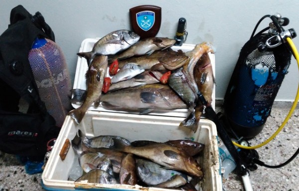 Το Λιμεναρχείο Κύμης συνέλαβε ερασιτέχνη ψαροντουφεκά