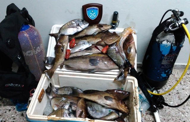 Το Λιμεναρχείο Κύμης συνέλαβε ερασιτέχνη ψαροντουφεκά