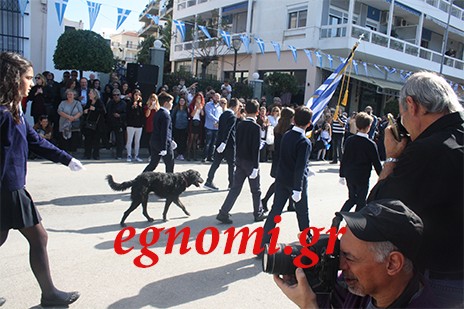 28η ΟΚΤΩΒΡΙΟΥ ΧΑΛΚΙΔΑ: Ο Τάσος απέκτησε ανταγωνιστή