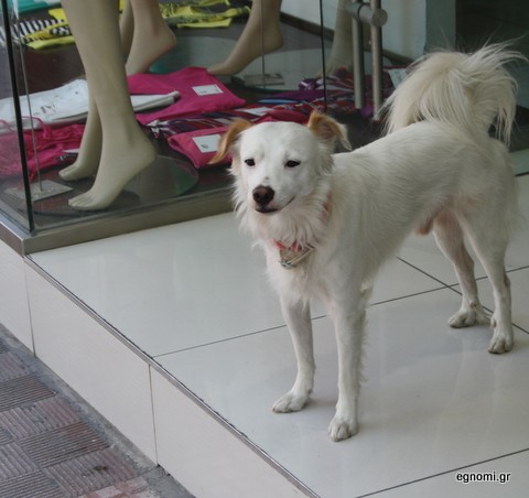 Ο Άρης μοιάζει με μπιμπελό