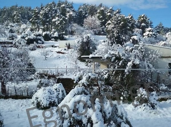 ΜΑΚΡΥΚΑΠΑ: Οπως την ...ζωγράφισε η Σοφία