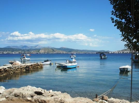 ΑΓΙΟΣ ΜΗΝΑΣ ΧΑΛΚΙΔΑΣ: Τρία άτομα ψάρευαν παράνομα αγγούρια της θάλασσας