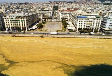 ΣΟΚ! Δείτε πως κατάντησε ο Θερμαϊκός από το φυτοπλαγκτόν (Video)