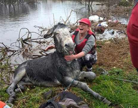 Γάιδαρος χαμογελαστός και άλλα ωραία του 2015