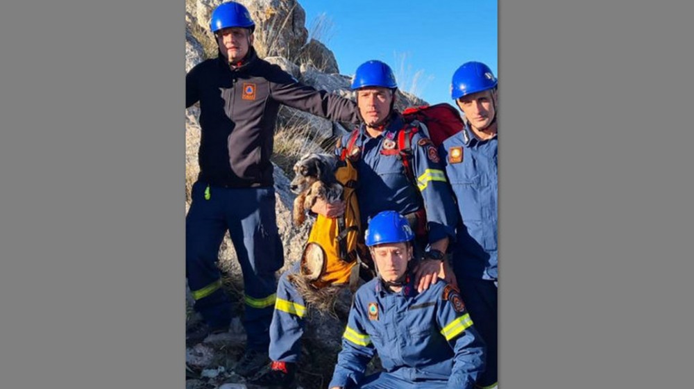 Πυροσβέστες ανέσυραν σκύλο από πηγάδι βάθους 20 μέτρων σε δύσβατη περιοχή