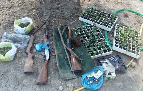 ΛΙΜΝΗ: Συνελήφθη 58χρονος καλλιεργητής δενδρυλλίων χασίς