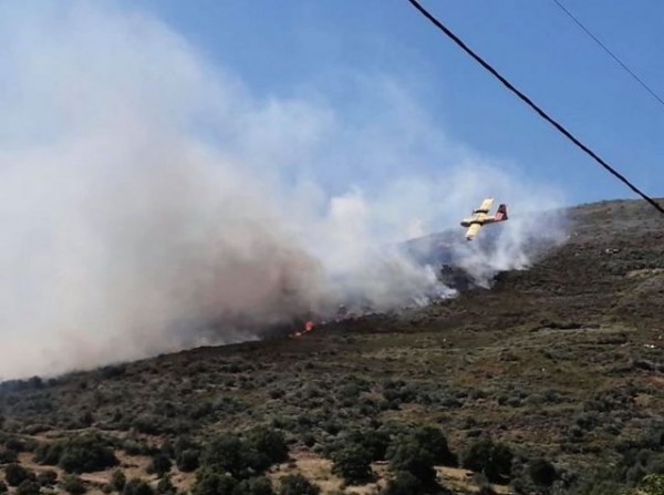 ΚΑΡΥΣΤΟΣ: Γυναίκα ήταν υπεύθυνη για την φωτιά που άναψε στο Κατσαρώνι