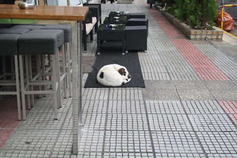 Αγαπάει το Brown Sugar!