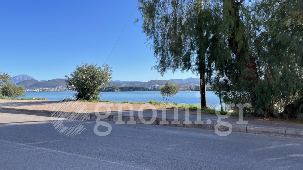 ΧΑΛΚΙΔΑ - ΚΑΝΗΘΟΣ: Επιτέλους απομακρύνθηκαν τα κλαδιά