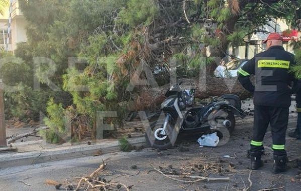 ΑΣΥΛΛΗΠΤΗ ΤΡΑΓΩΔΙΑ: Οδηγός μηχανής καταπλακώθηκε από δέντρο ενώ περίμενε στο φανάρι