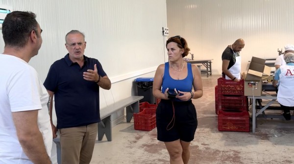 ΖΕΜΠΙΛΗΣ: Τον Οκτώβριο θα καταβληθούν αποζημιώσεις 2 εκατ. ευρώ στους συκοπαραγωγούς της Εύβοιας