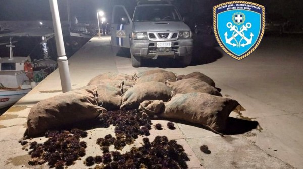 ΠΗΛΙ ΕΥΒΟΙΑΣ: Δύο Έλληνες είχαν ψαρέψει παράνομα 5.000 αχινούς με ερασιτεχνικό σκάφος