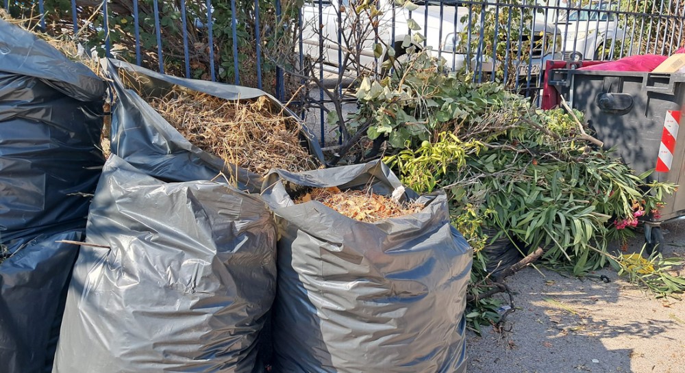 ΧΑΛΚΙΔΑ: Καθάρισαν την αυλή και παράτησαν τα χόρτα