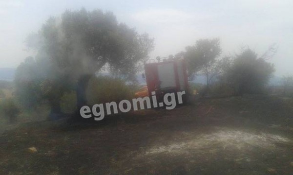 Κάηκαν ελιές στην Καλλιθέα