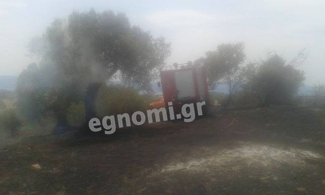 Κάηκαν ελιές στην Καλλιθέα