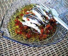 Γαύρος ξιδάτος