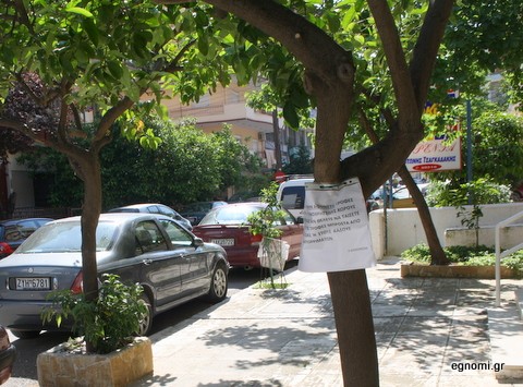 Κακός μπελάς οι γάτες σε γειτονιά στην οδό Αποστολίδου