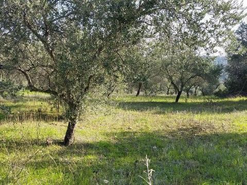 Αντρας προσπάθησε να στραγγαλίσει γυναίκα μπροστά στον γιο της