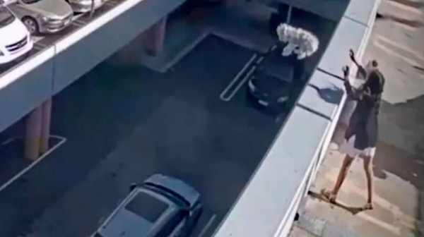 26χρονη πέταξε το σκυλάκι της από την ταράτσα