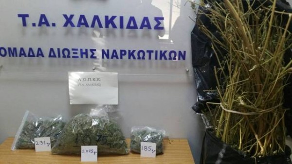 ΑΜΑΡΥΝΘΟΣ ΕΥΒΟΙΑΣ: Συνελήφθη 40χρονος για κατοχή και καλλιέργεια ναρκωτικών (pic)