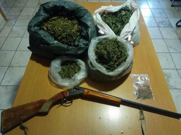 Αστυνομικός σκύλος μύρισε τρία κιλά χασίς στο σπίτι 48χρονου