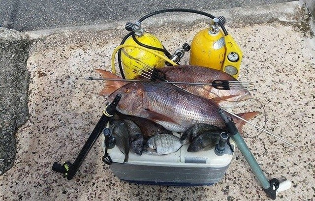 ΚΥΜΗ: Ψάρευαν παράνομα συναγρίδες με ψαροντούφεκο και μπουκάλες