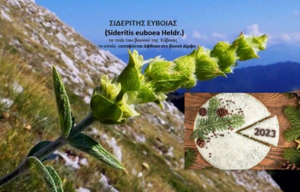 ΣΙΔΕΡΙΤΗΣ: Κοπή πίτας με πεζοπορία, παιχνίδια στην φύση, μεζέδες και τραγούδια