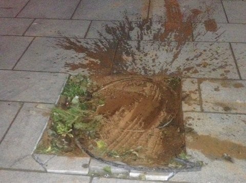 Ιδού το επίπεδο των Ελλήνων οδηγών