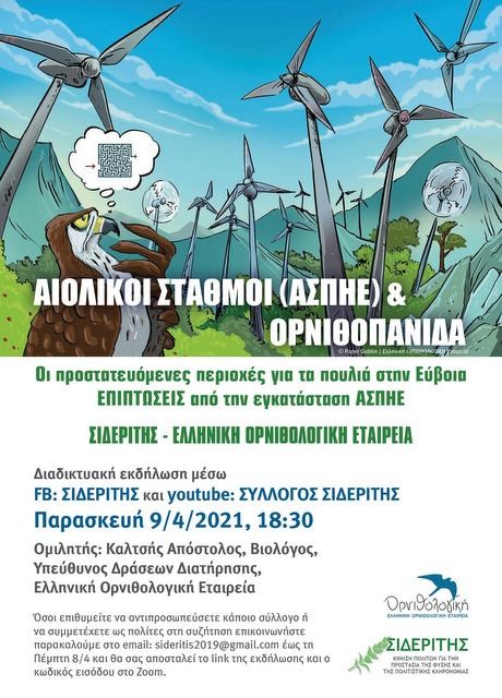 ΧΑΛΚΙΔΑ- ΣΙΔΕΡΙΤΗΣ: Έτσι επηρεάζουν τα πουλιά οι ανεμογεννήτριες
