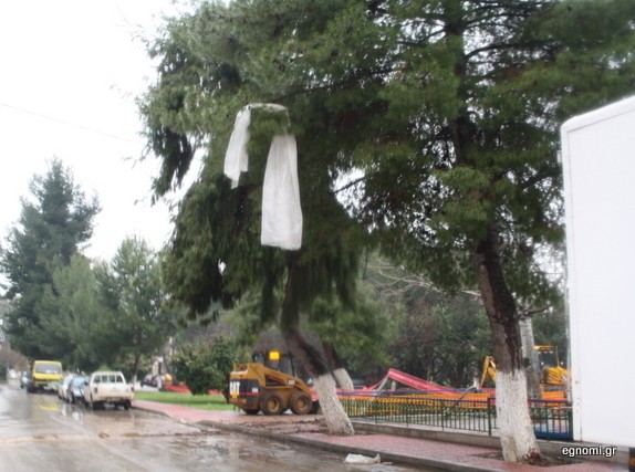 Δέντρο με νάιλον!